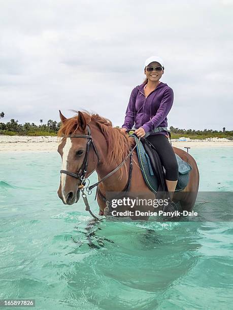 horseback riding in turks and caicos - providenciales stock pictures, royalty-free photos & images