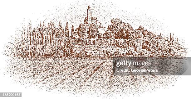 stockillustraties, clipart, cartoons en iconen met tuscany vineyard - wijngaard
