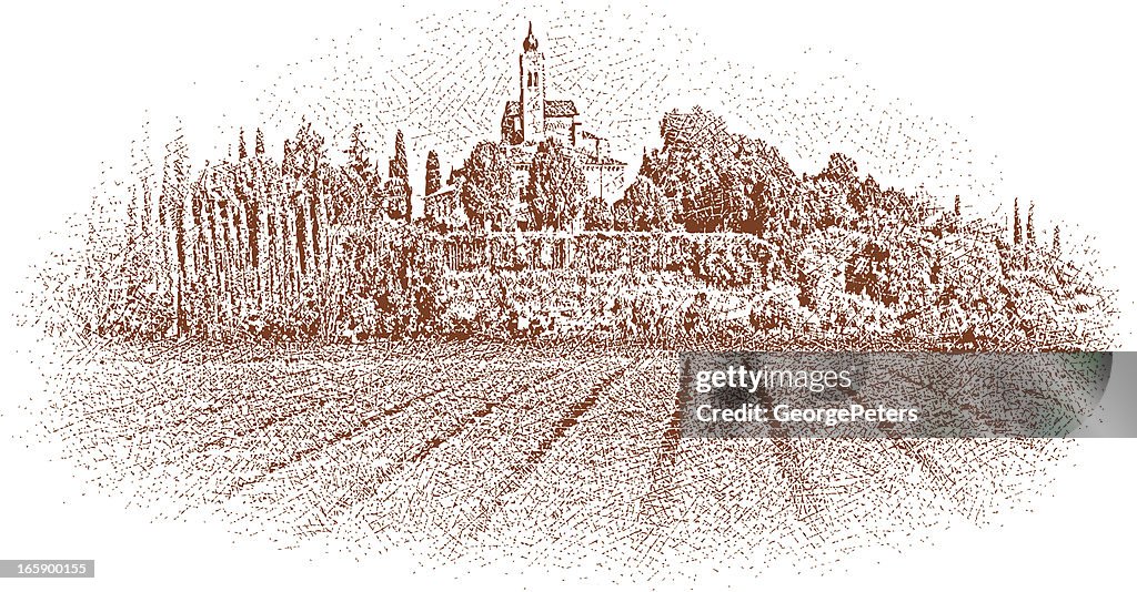 Tuscany Vineyard