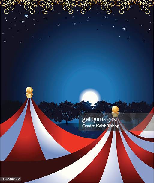 circus tent under the moonlight - marquee vector stock illustrations