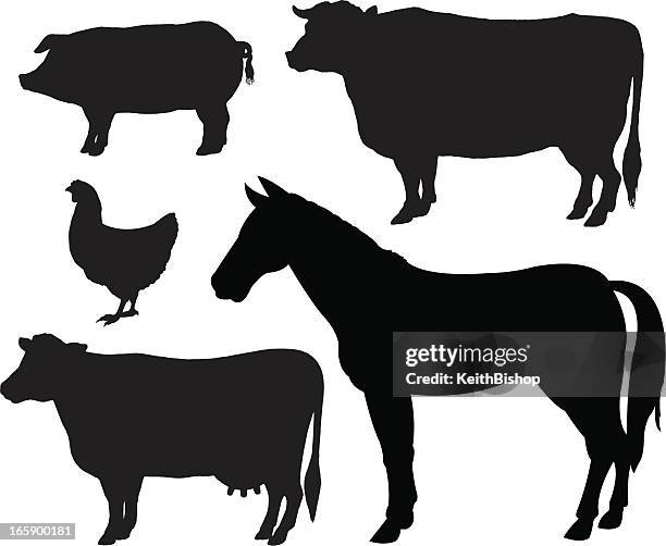 ilustraciones, imágenes clip art, dibujos animados e iconos de stock de granja animales siluetas de vaca, caballos, cerdo, pollo - domestic cattle