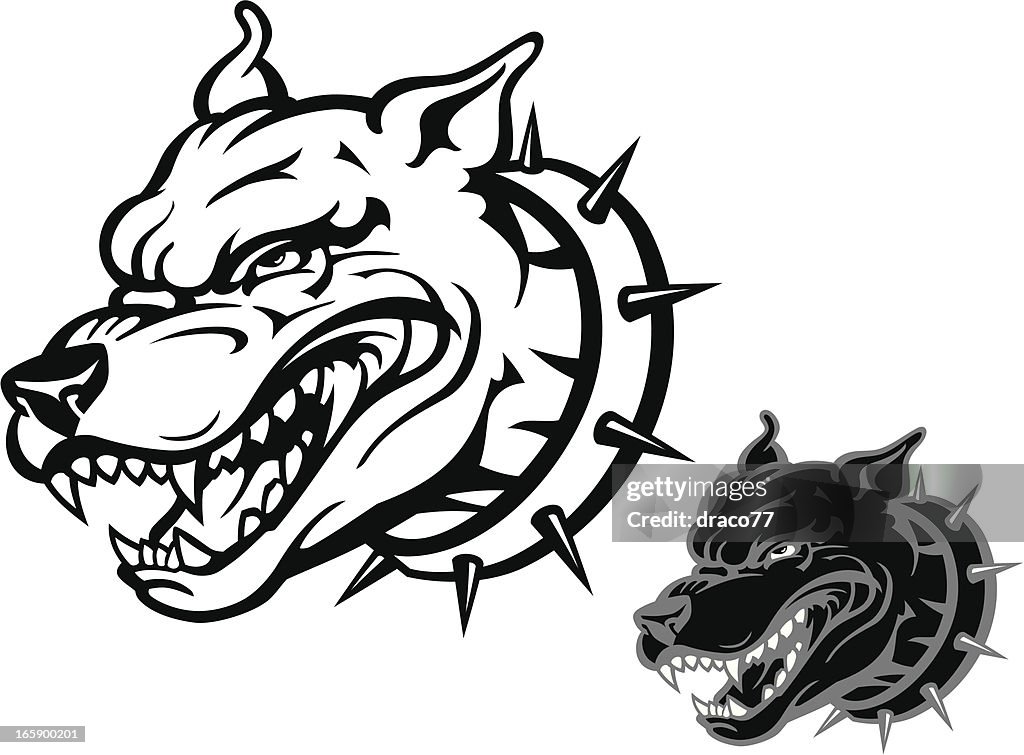 Angry Pitbull High-Res Vector Graphic - Getty Images