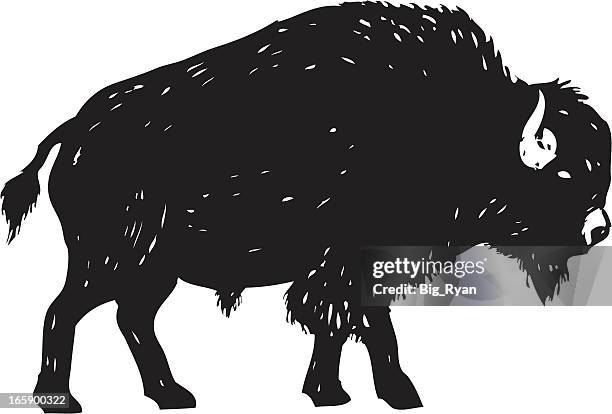 skizzenhafte bison - wasserbüffel stock-grafiken, -clipart, -cartoons und -symbole