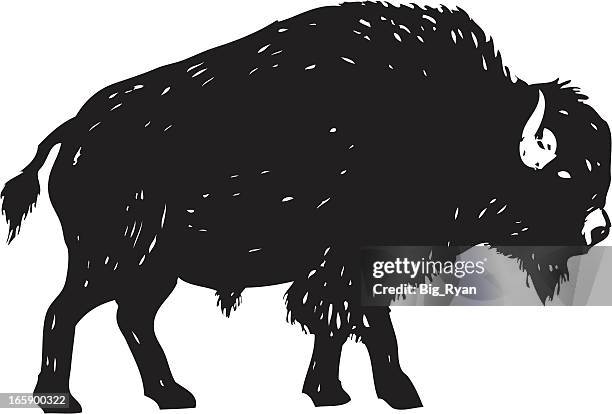 sketchy bison - african buffalo stock illustrations