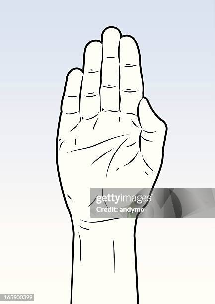 Getty Hand Sign Hand Stop Sign High-Res Vector Graphic - Getty Images