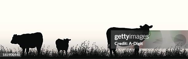 ilustraciones, imágenes clip art, dibujos animados e iconos de stock de yescows. - concept does not exist