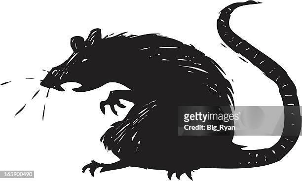 illustrazioni stock, clip art, cartoni animati e icone di tendenza di spaventoso ratto - animale nocivo