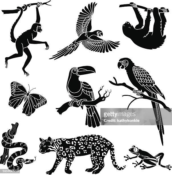 rainforest animals - animals in the wild stock illustrations