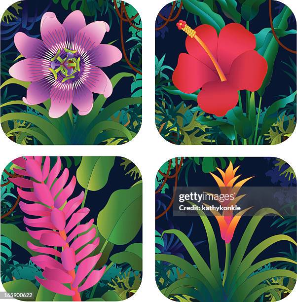 tropical flowers - cornflower stock illustrations