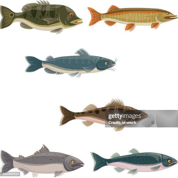 Salmon Cartoon Photos and Premium High Res Pictures - Getty Images