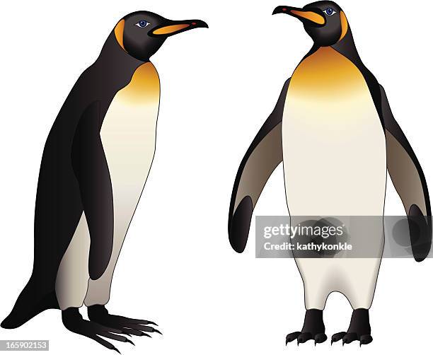 ilustrações de stock, clip art, desenhos animados e ícones de imperador penguins - pinguim imperador