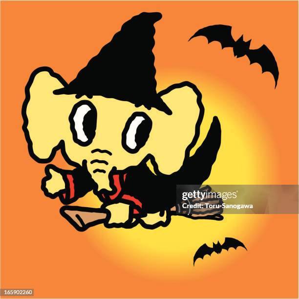 Elephant Rabbit Bat Elephant Bat Photos and Premium High Res Pictures - Getty Images