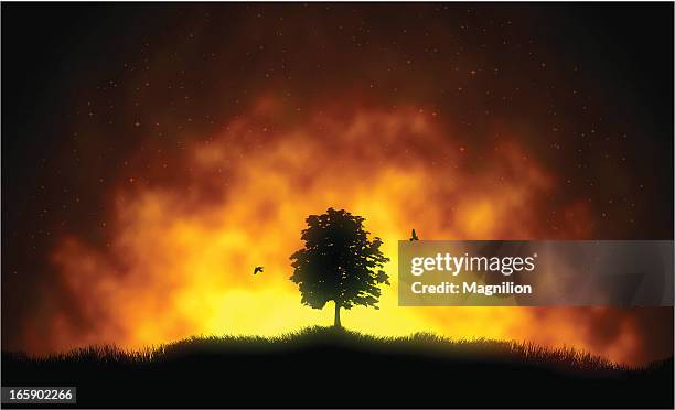 fire - burnt stock-grafiken, -clipart, -cartoons und -symbole