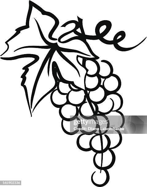 stockillustraties, clipart, cartoons en iconen met bunch of grapes simple drawing with leaf  swirly vine - grapes on vine