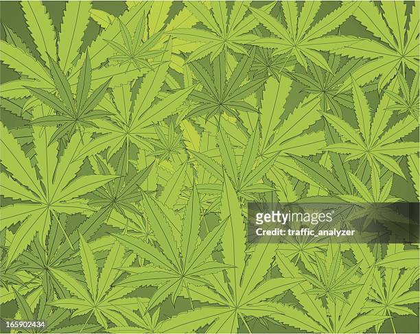 marijuana background - rastafarian stock illustrations