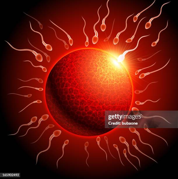 sperm and egg background - menopause stock illustrations