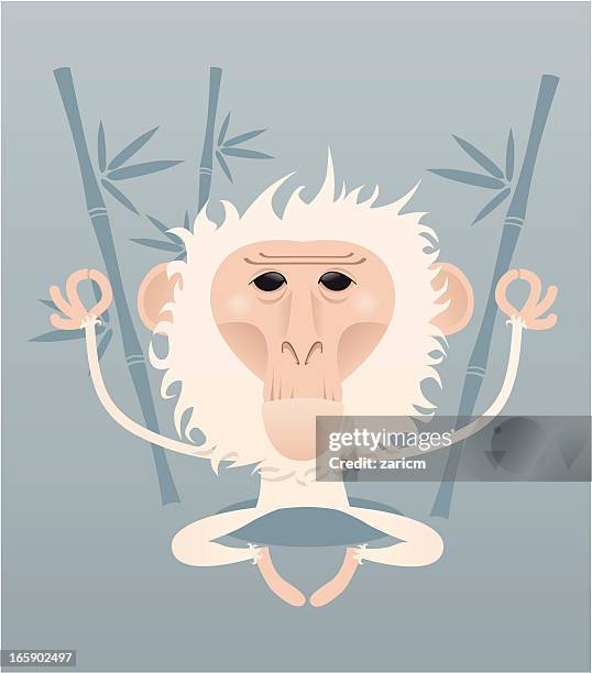 snow monkey - macaque stock illustrations