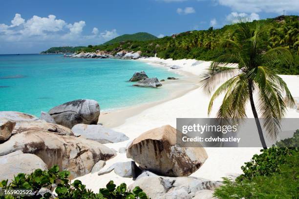 beach with boulders and palm trees in virgin gorda, bvi - british virgin islands stock pictures, royalty-free photos & images