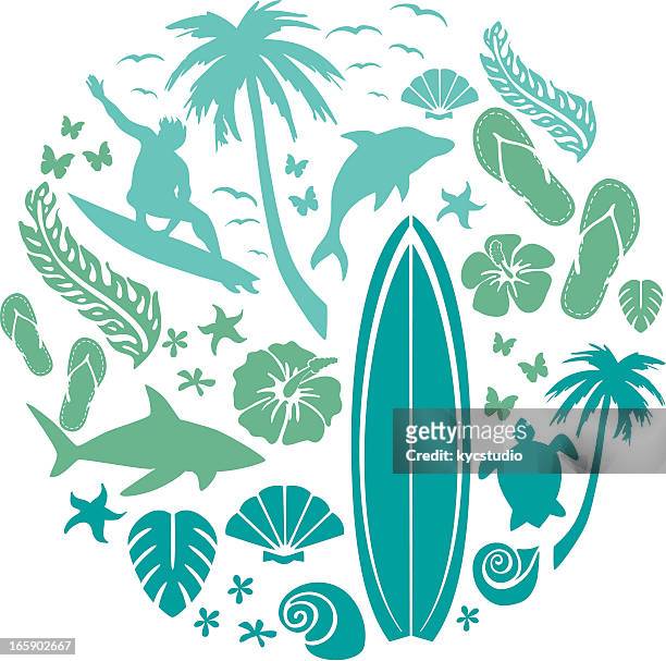  Ilustraciones de Tabla De Surf - Getty Images