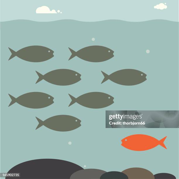 Fish Changing Direction 33 Fish Swimming Opposite Direction Stock Photos, High-Res Pictures ...