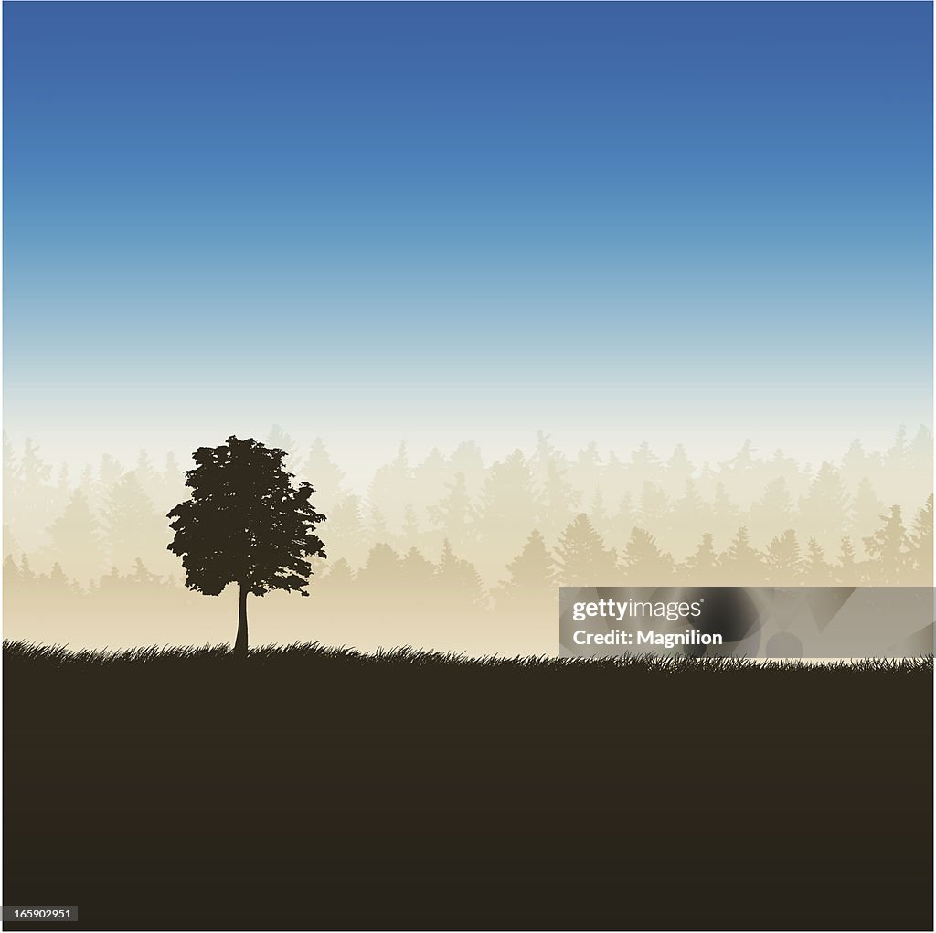 Tree and forest