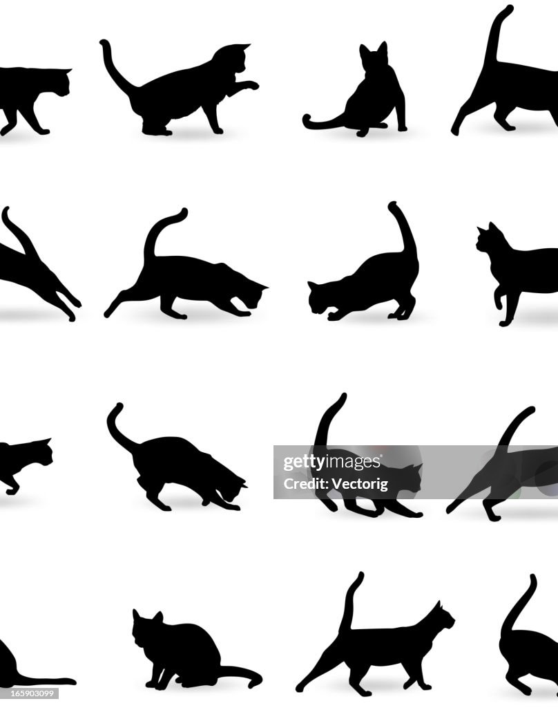 Cats Silhouette