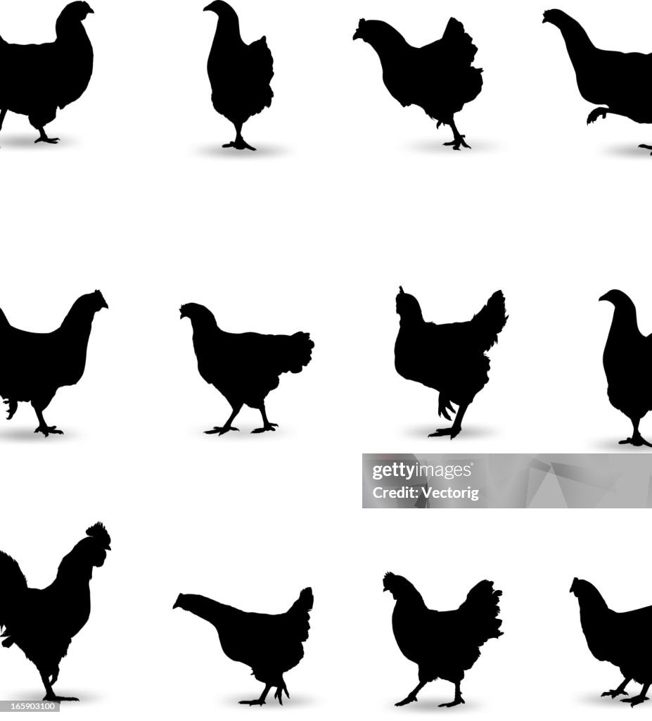 Chicken Silhouette