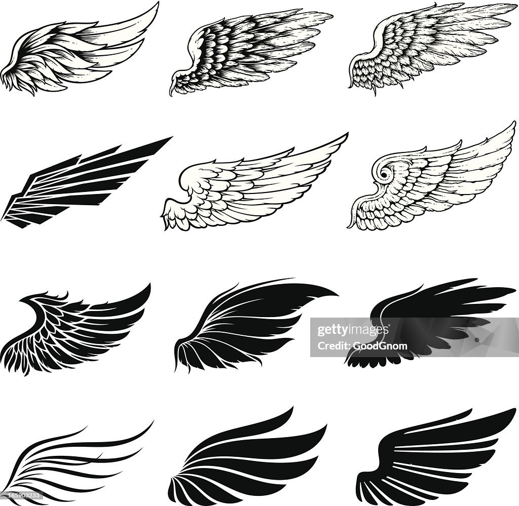 Wings collection