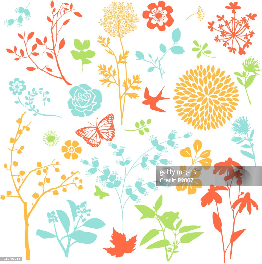 Assortimento di primavera elementi