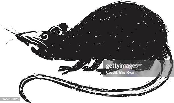 sketchy rat - pest stock illustrations