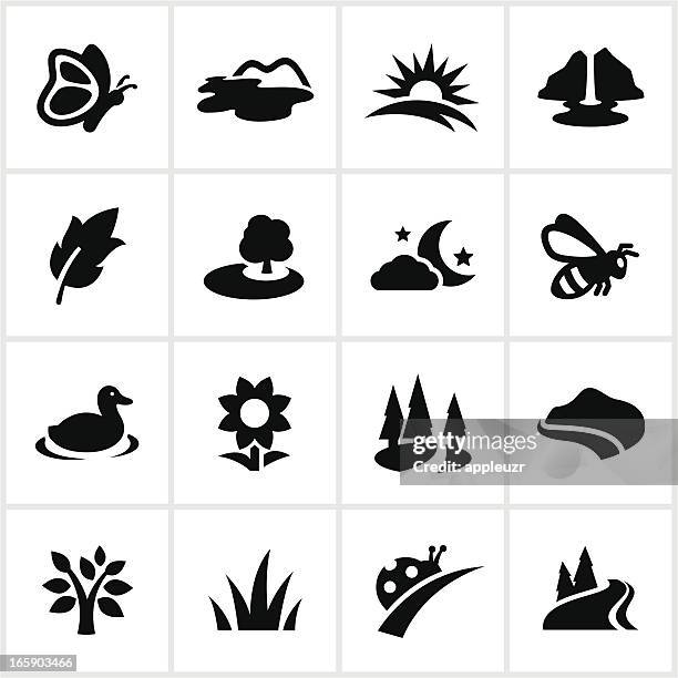 black sommer symbole - wasserfall stock-grafiken, -clipart, -cartoons und -symbole