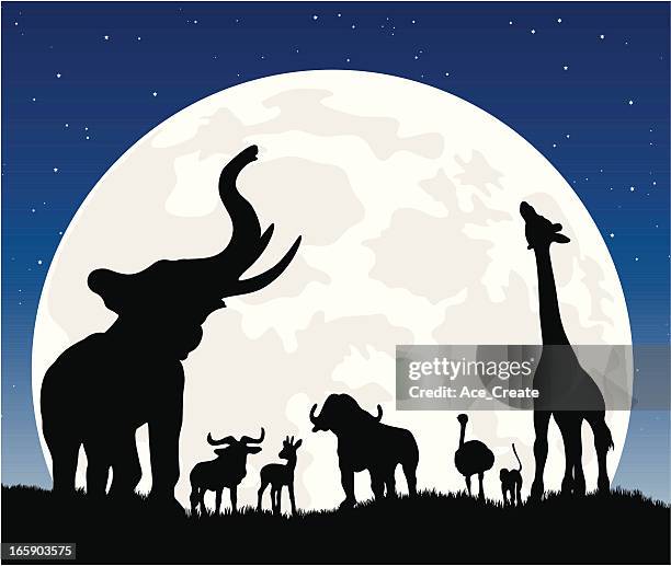 stockillustraties, clipart, cartoons en iconen met african animal silhouette safari at night with moon - safari animals