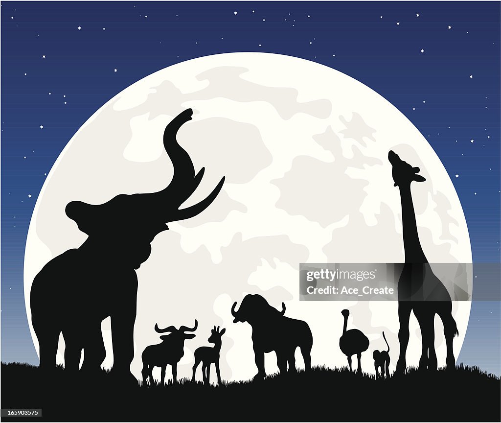 African animal silhouette safari at night with moon