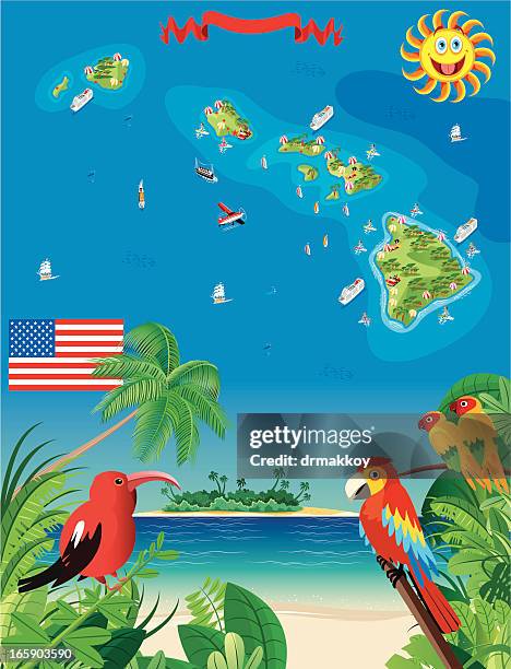 cartoon map of hawaii - kauai stock illustrations