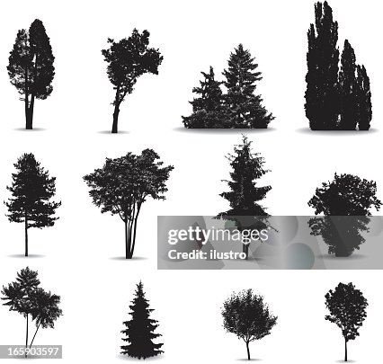 Trees Trees