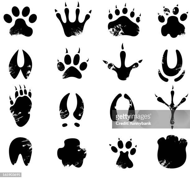 muddy footprint symbols - animals in the wild stock illustrations
