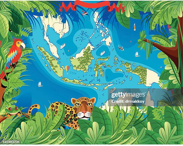 cartoon map of indonesia - kalimantan stock illustrations