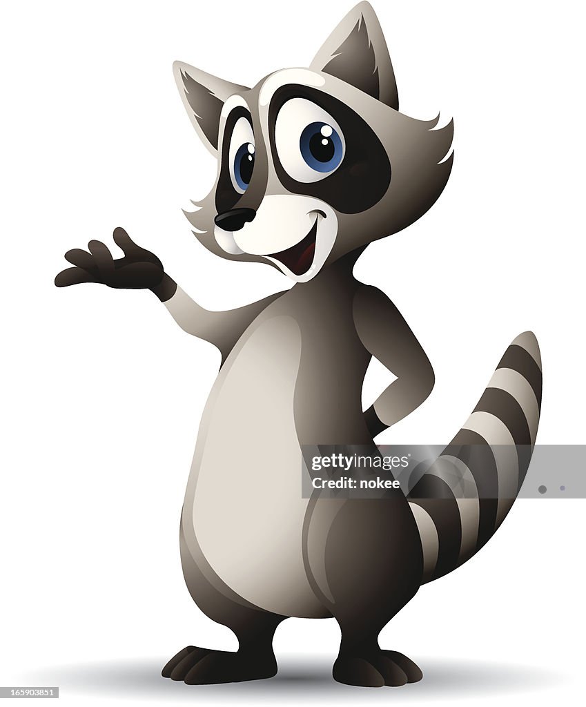 Raccoon