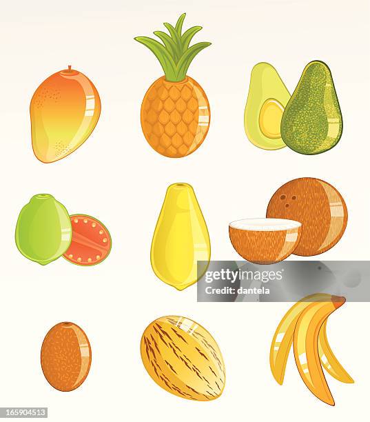 tropical fruits icon set - pepino stock illustrations