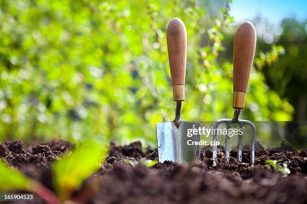 garden hand tools - trädgårdsredskap bildbanksfoton och bilder