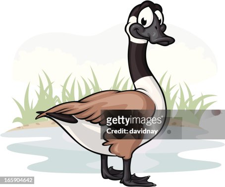 432 Cartoon Goose Photos and Premium High Res Pictures - Getty Images