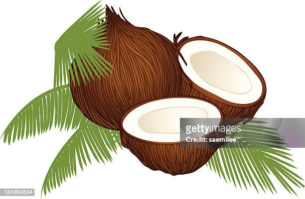 kokosnuss - coconut milk stock-grafiken, -clipart, -cartoons und -symbole