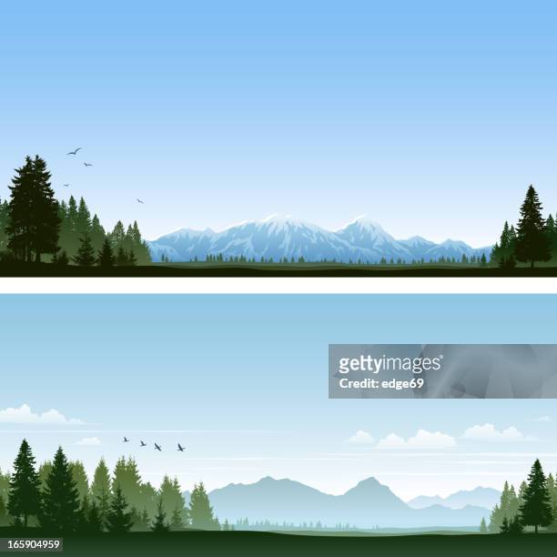 ilustraciones, imágenes clip art, dibujos animados e iconos de stock de bosque y las montañas - clear sky