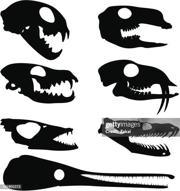 tierische schädel silhouetten: cat känguru fox deer fisch garpike - animal skull stock-grafiken, -clipart, -cartoons und -symbole