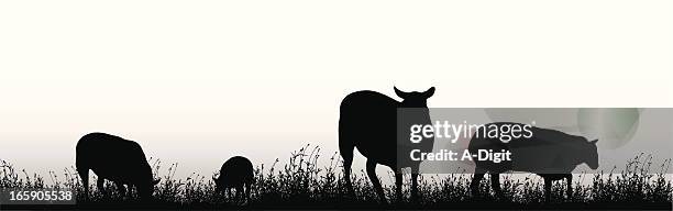grazing sheep vector silhouette - sheep stock illustrations
