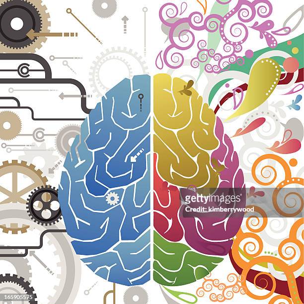 abstract vector illustration of left and right brain systems - cerebral hemisphere 幅插畫檔、美工圖案、卡通及圖標