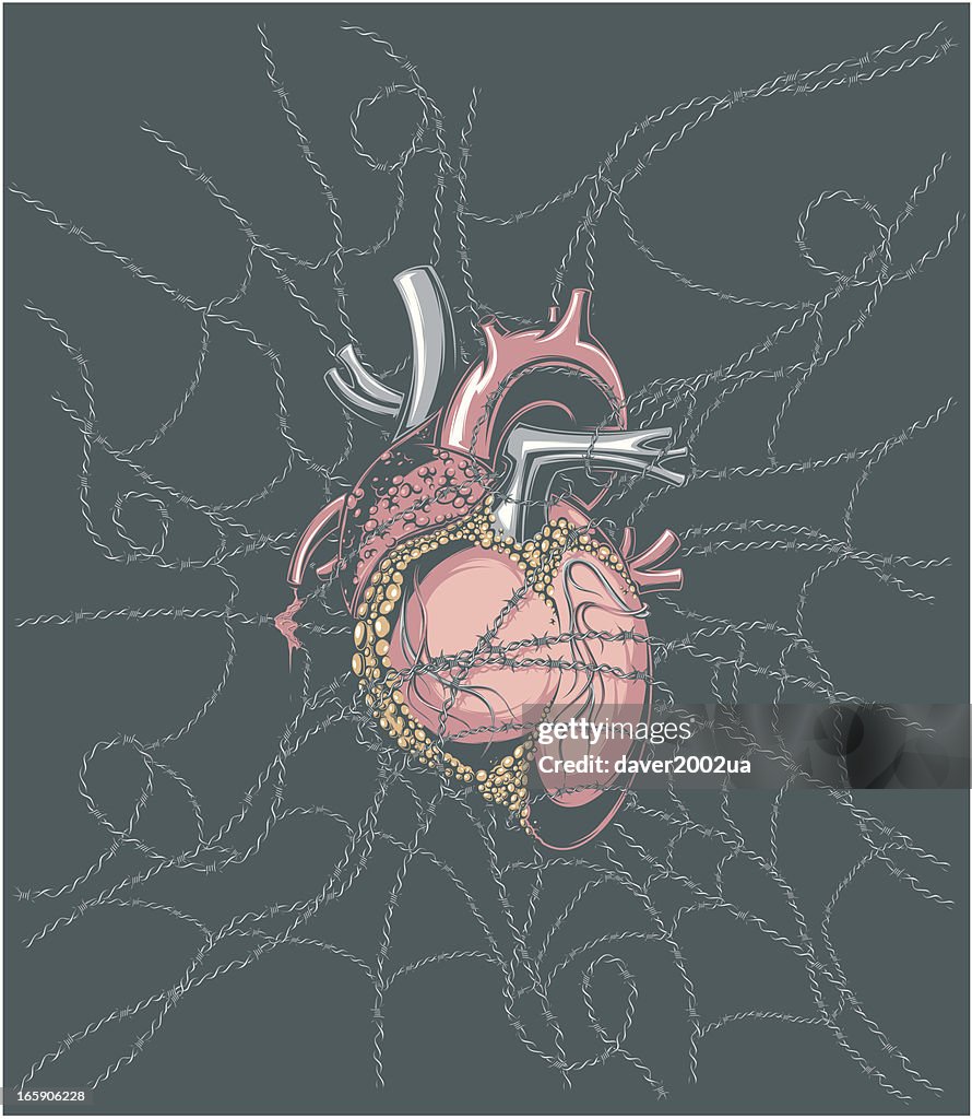 Heart in barbed wire web