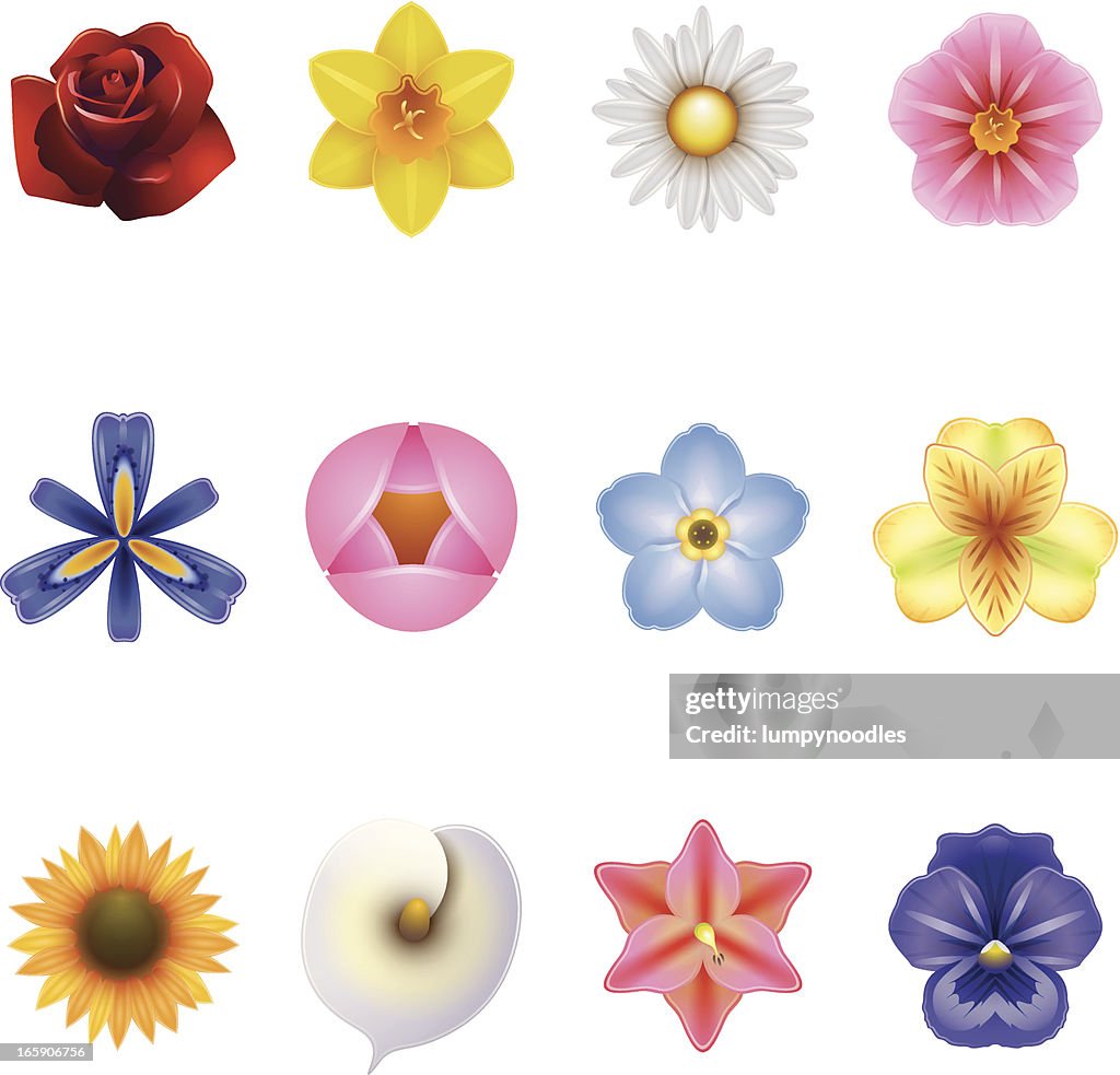 Flower Icons