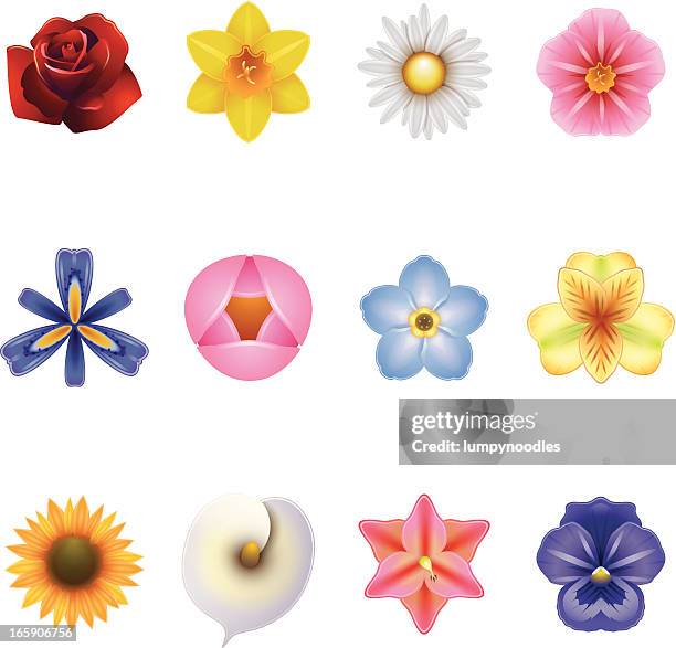 flower icons - violet flower stock illustrations