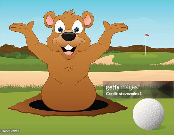 ilustraciones, imágenes clip art, dibujos animados e iconos de stock de campos de golf con un gopher - marmota canadiense